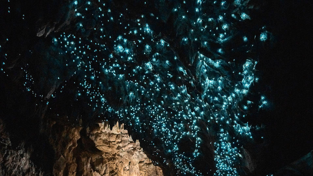 【紐西蘭自由行】南島北島15天自駕行程.機票簽證、旅遊路線、飯店住宿、美食景點 @飛天璇的口袋 【紐西蘭自由行】南島北島15天自駕行程.機票簽證、旅遊路線、飯店住宿、美食景點 @飛天璇的口袋