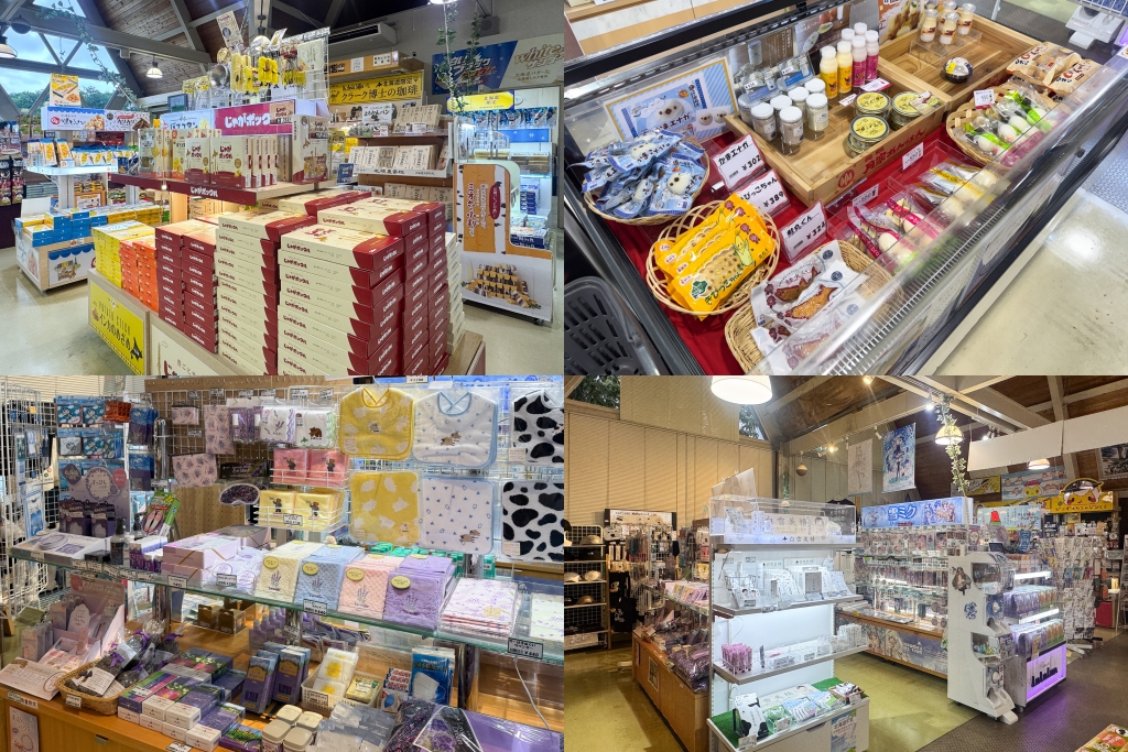 日本北海道｜羊之丘展望台．眺望札幌市景，夏天有薰衣草，冬天可以玩雪 @飛天璇的口袋