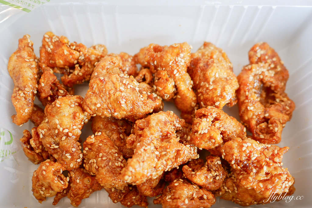 【福岡5天4夜自由行】免開車！福岡自由行懶人包，美食景點順遊路線 @飛天璇的口袋