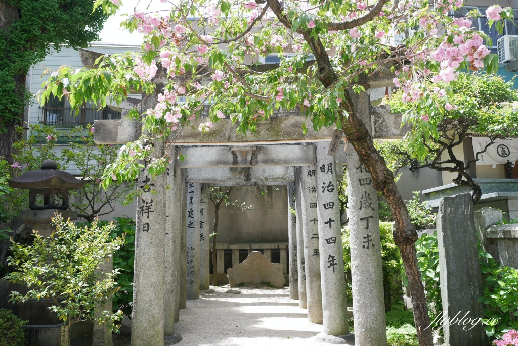 【福岡5天4夜自由行】免開車！福岡自由行懶人包，美食景點順遊路線 @飛天璇的口袋