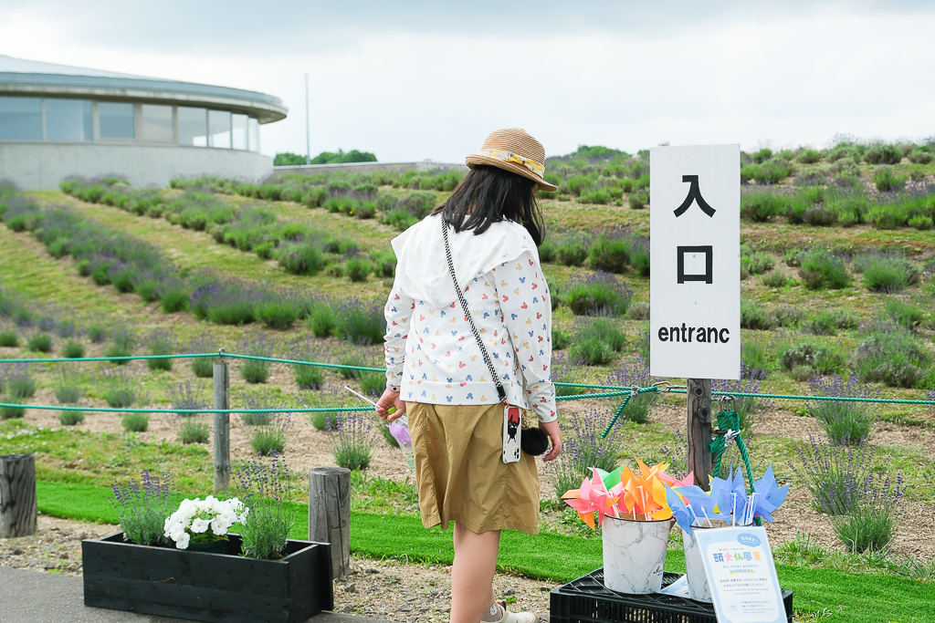 日本北海道｜頭大佛．建築大師安藤忠雄設計，夏天限定浪漫薰衣草田 @飛天璇的口袋