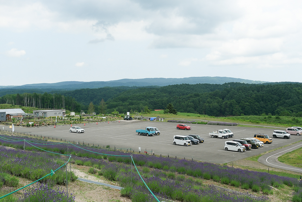 日本北海道｜頭大佛．建築大師安藤忠雄設計，夏天限定浪漫薰衣草田 @飛天璇的口袋