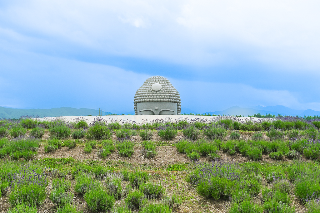 日本北海道｜頭大佛．建築大師安藤忠雄設計，夏天限定浪漫薰衣草田 @飛天璇的口袋
