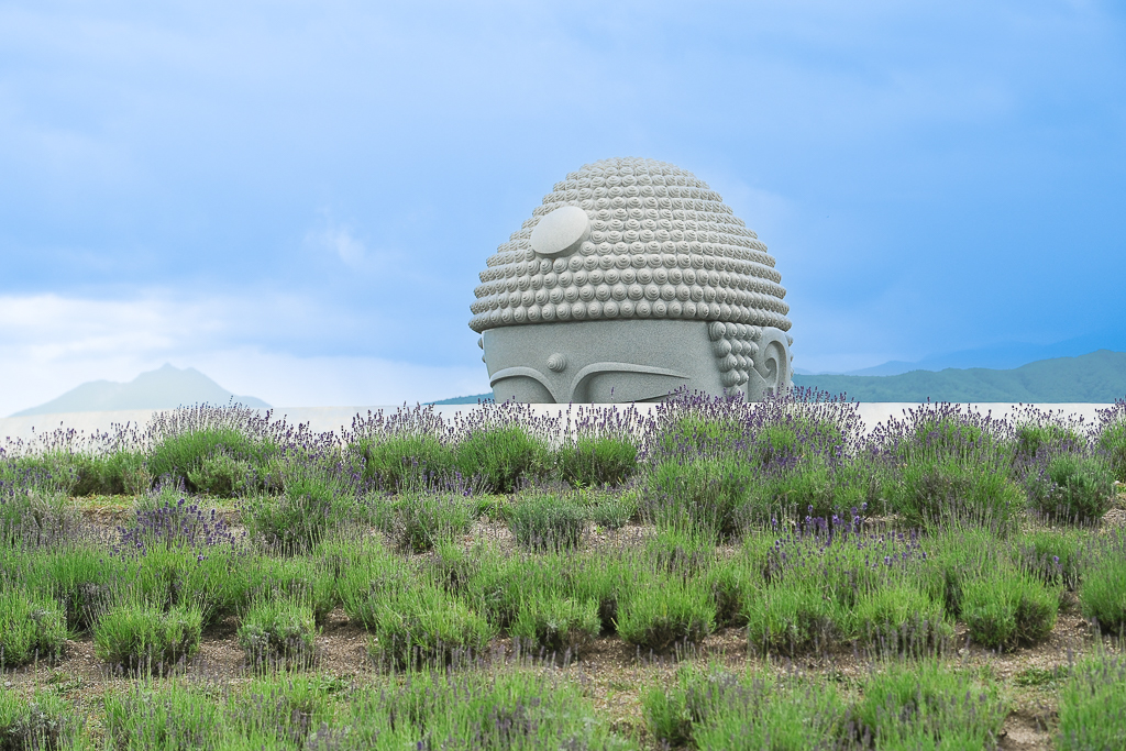 日本北海道｜頭大佛．建築大師安藤忠雄設計，夏天限定浪漫薰衣草田 @飛天璇的口袋
