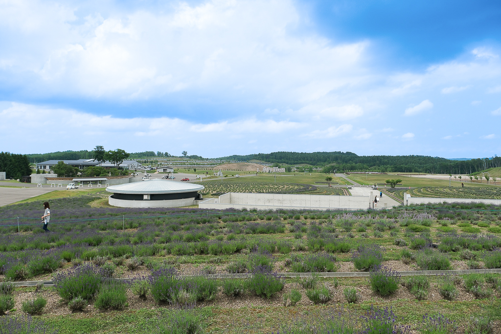 日本北海道｜頭大佛．建築大師安藤忠雄設計，夏天限定浪漫薰衣草田 @飛天璇的口袋