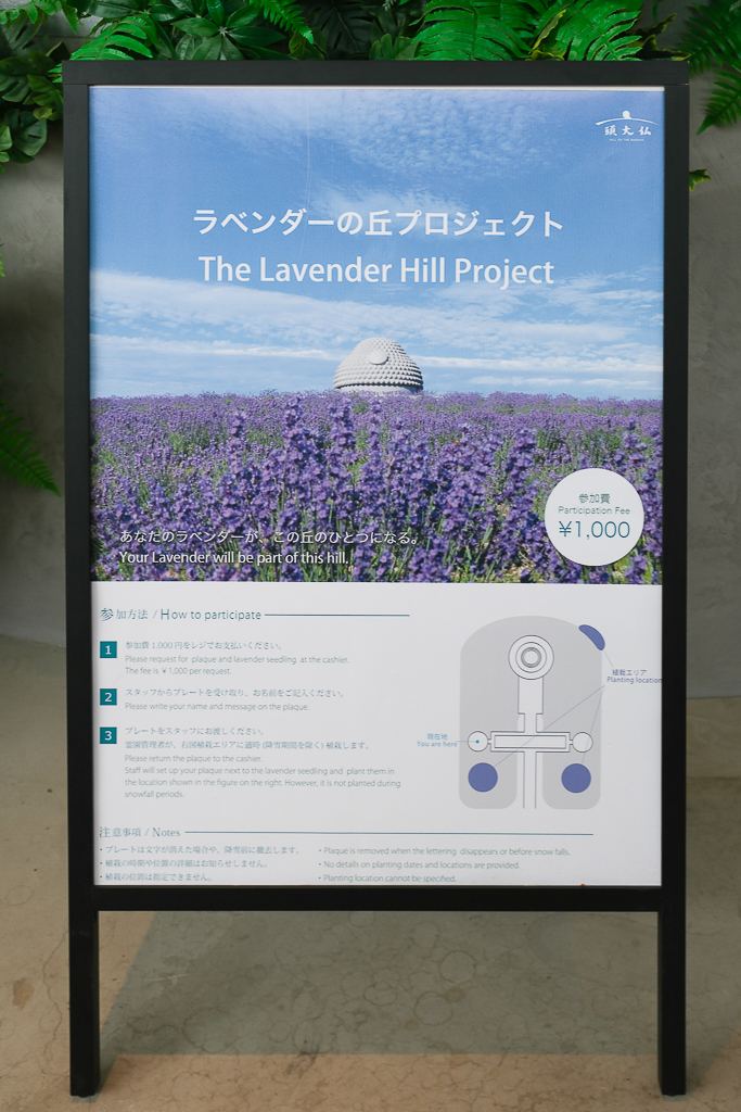 日本北海道｜頭大佛．建築大師安藤忠雄設計，夏天限定浪漫薰衣草田 @飛天璇的口袋