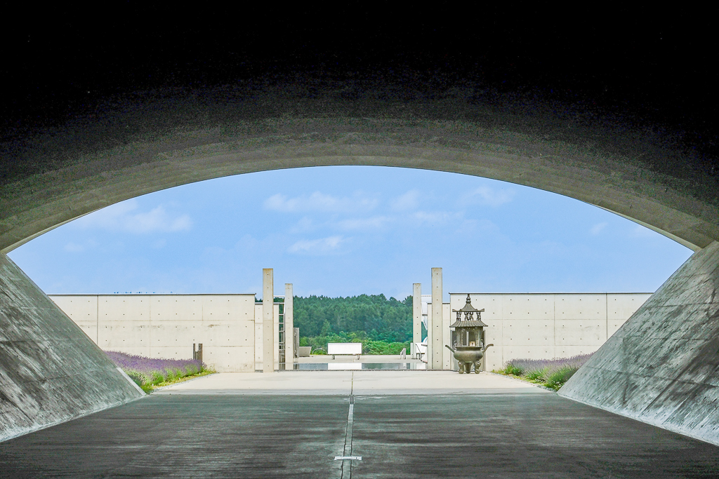 日本北海道｜頭大佛．建築大師安藤忠雄設計，夏天限定浪漫薰衣草田 @飛天璇的口袋