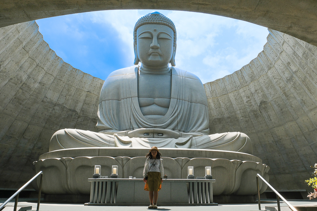 日本北海道｜頭大佛．建築大師安藤忠雄設計，夏天限定浪漫薰衣草田 @飛天璇的口袋