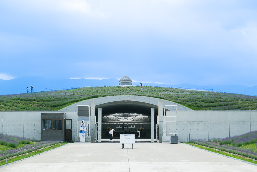 日本北海道｜頭大佛．建築大師安藤忠雄設計，夏天限定浪漫薰衣草田 @飛天璇的口袋
