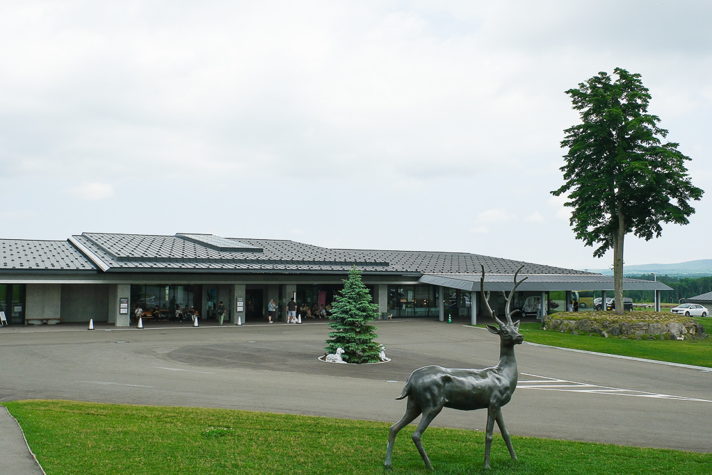 日本北海道｜頭大佛．建築大師安藤忠雄設計，夏天限定浪漫薰衣草田 @飛天璇的口袋