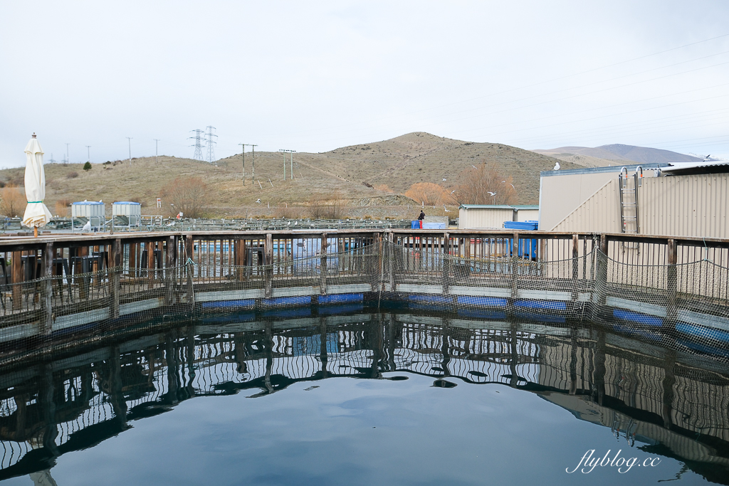 紐西蘭南島｜高地鄉村鮭魚 High Country Salmon．冰川水質養殖鮭魚，Twizel小鎮美食餐廳 @飛天璇的口袋