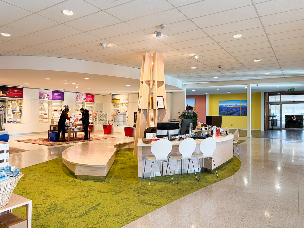 紐西蘭南島｜Farmers Corner．台灣人開的伴手禮店，牧場餵羊駝春天賞薰衣草 @飛天璇的口袋