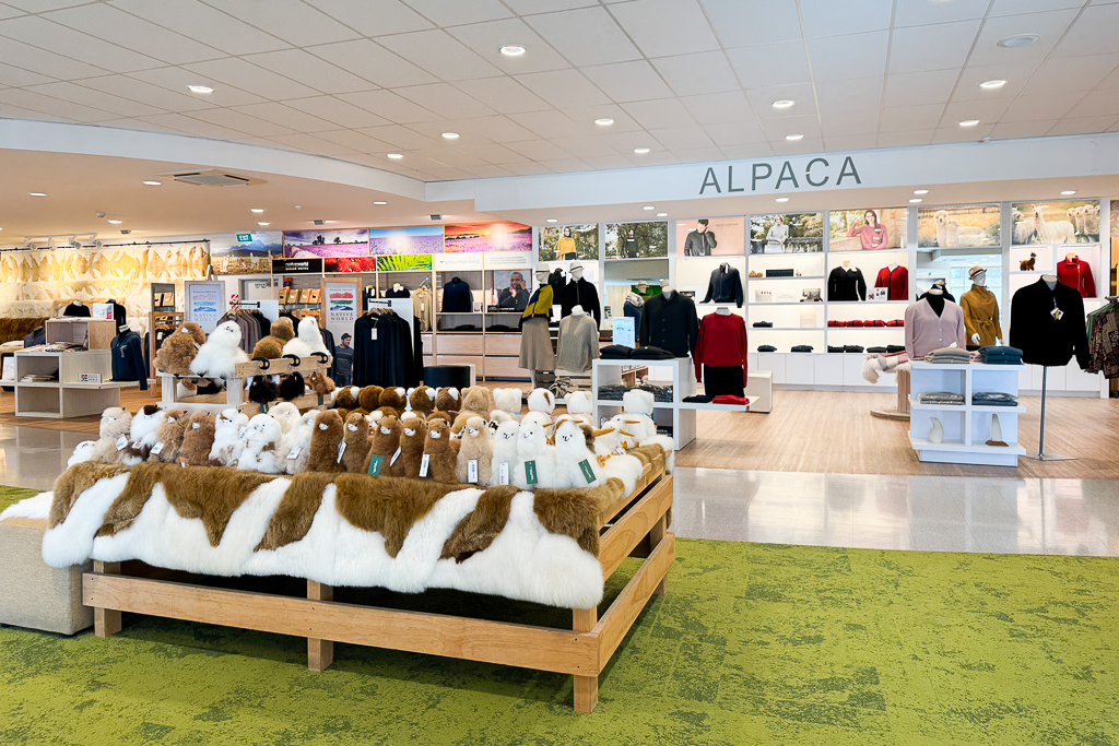 紐西蘭南島｜Farmers Corner．台灣人開的伴手禮店，牧場餵羊駝春天賞薰衣草 @飛天璇的口袋