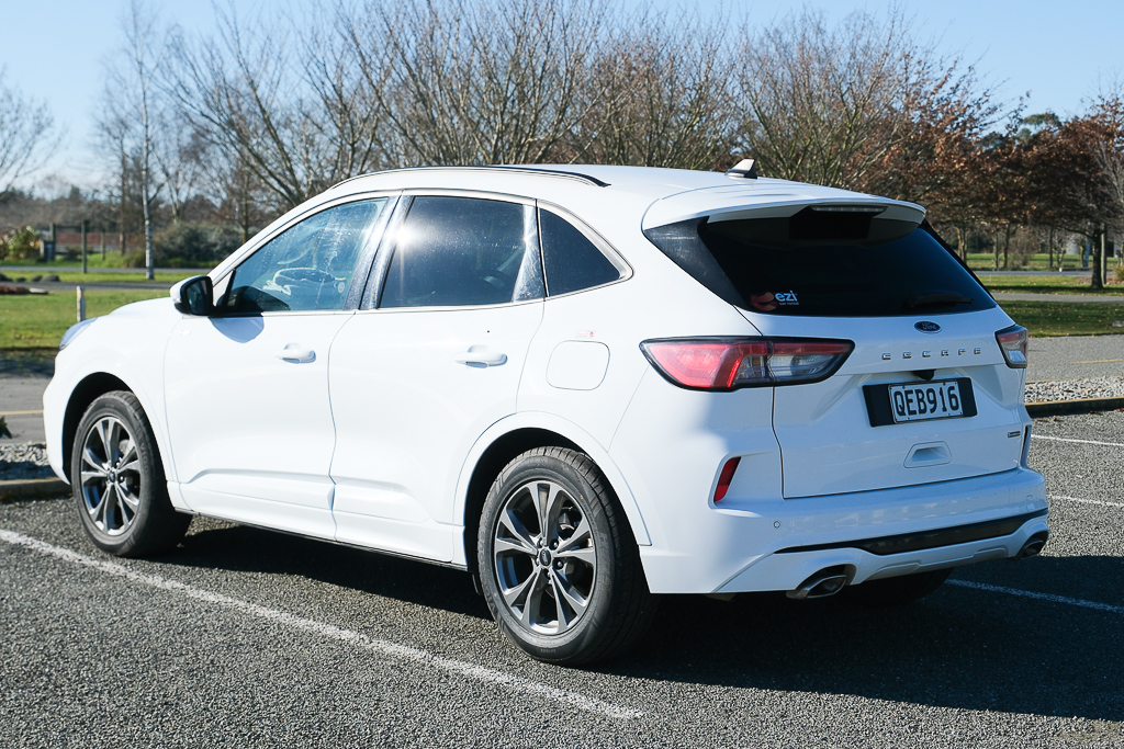 紐西蘭南島｜Farmers Corner．台灣人開的伴手禮店，牧場餵羊駝春天賞薰衣草 @飛天璇的口袋