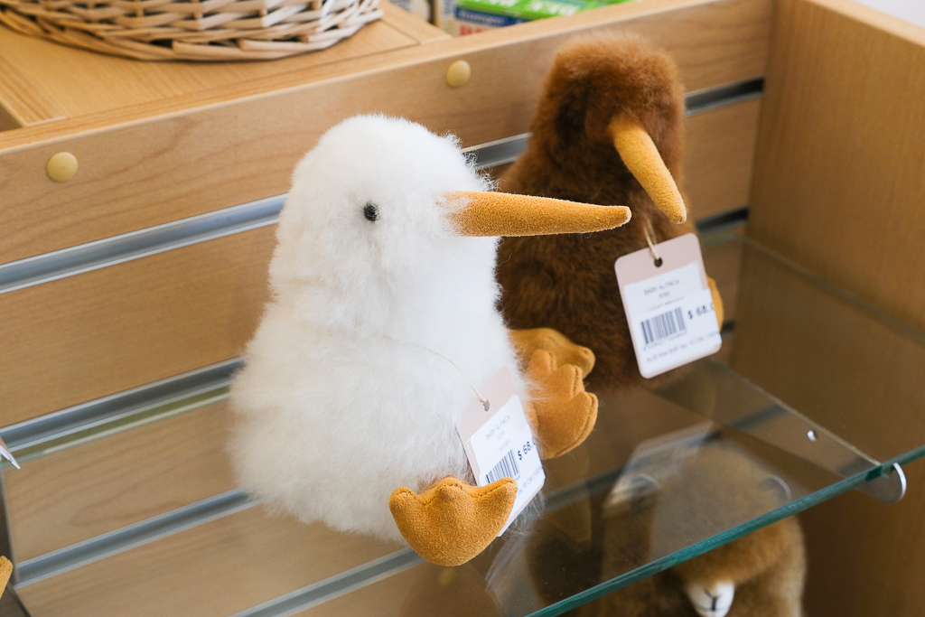 紐西蘭南島｜Farmers Corner．台灣人開的伴手禮店，牧場餵羊駝春天賞薰衣草 @飛天璇的口袋