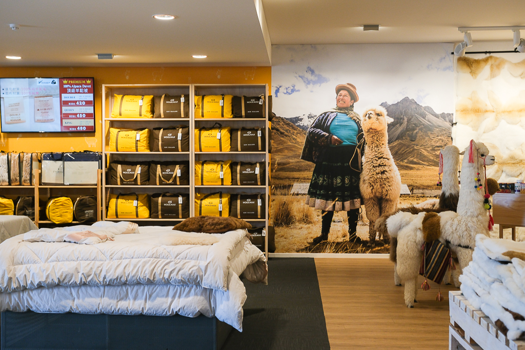 紐西蘭南島｜Farmers Corner．台灣人開的伴手禮店，牧場餵羊駝春天賞薰衣草 @飛天璇的口袋