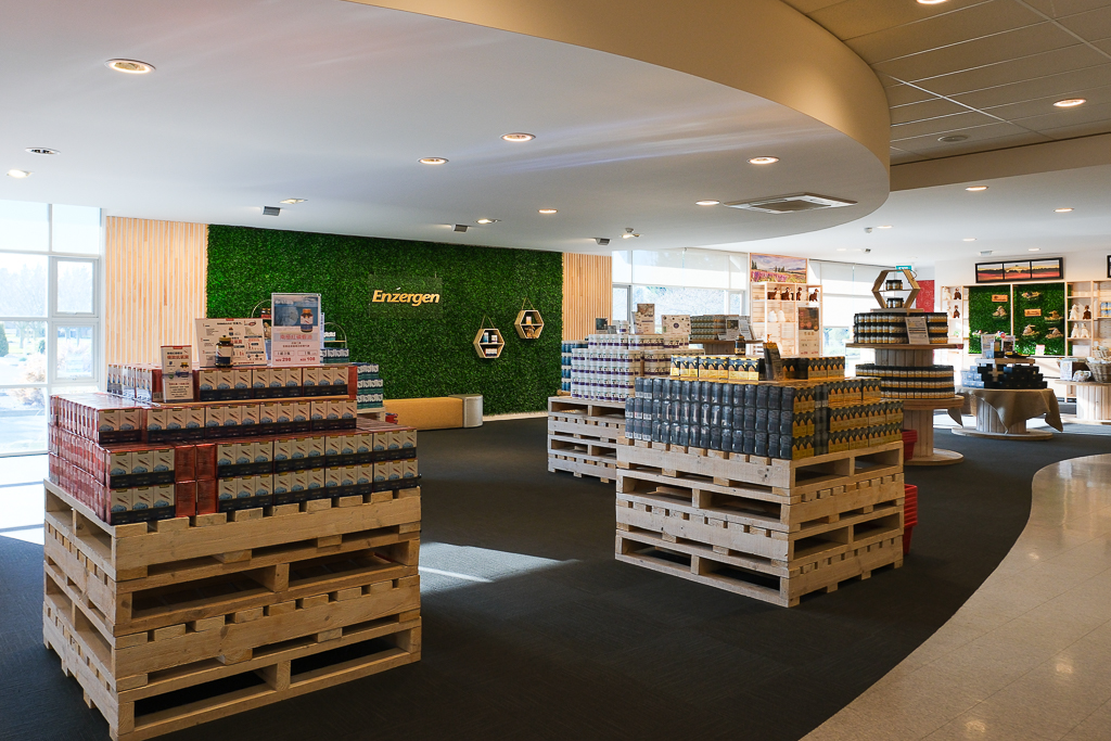 紐西蘭南島｜Farmers Corner．台灣人開的伴手禮店，牧場餵羊駝春天賞薰衣草 @飛天璇的口袋