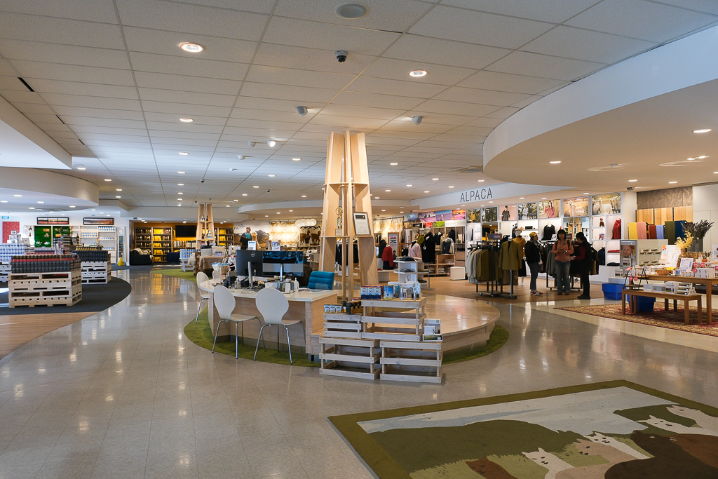 紐西蘭南島｜Farmers Corner．台灣人開的伴手禮店，牧場餵羊駝春天賞薰衣草 @飛天璇的口袋