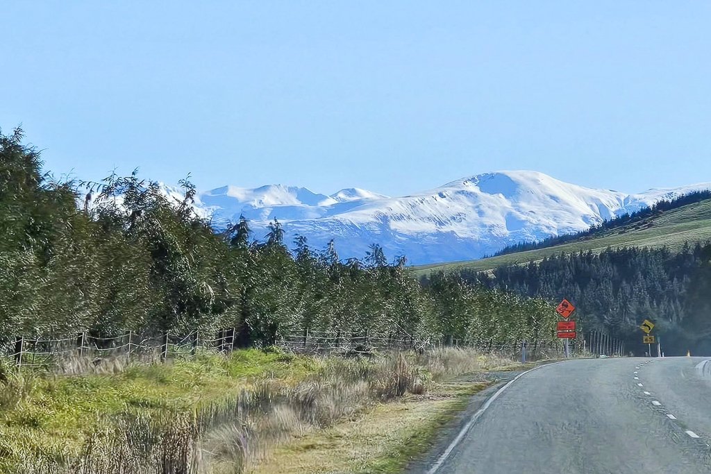 紐西蘭南島｜Fairlie Bakehouse．網路推薦南島最好吃的鹹派，必點鮭魚和羊肉口味 @飛天璇的口袋