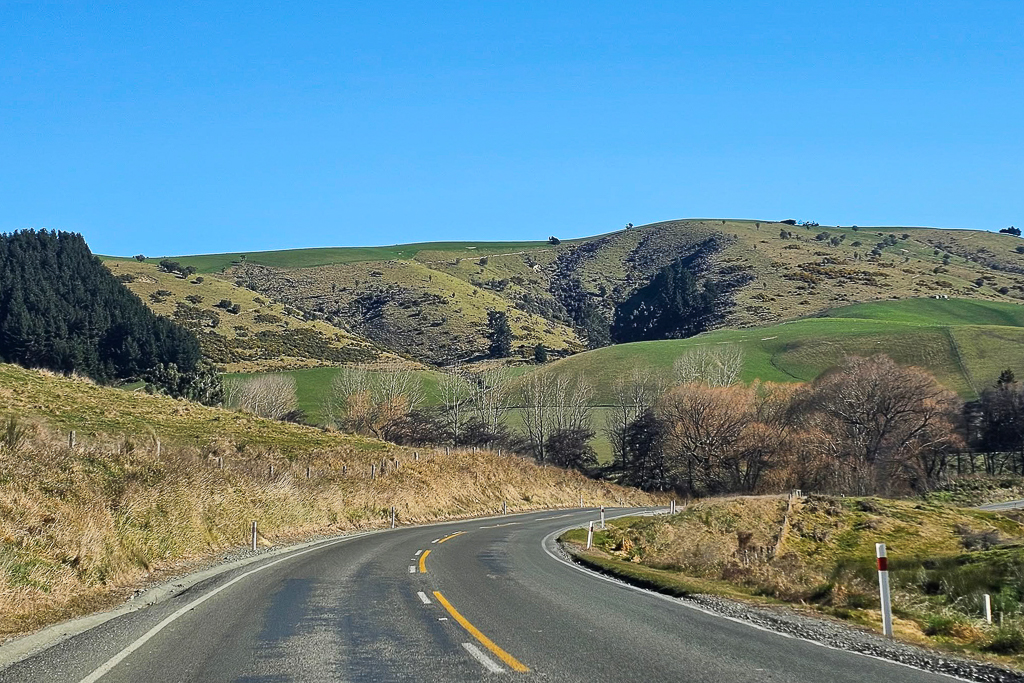 紐西蘭南島｜Fairlie Bakehouse．網路推薦南島最好吃的鹹派，必點鮭魚和羊肉口味 @飛天璇的口袋