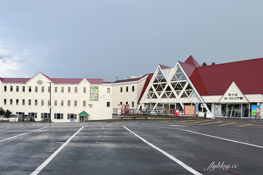 日本北海道｜羊之丘展望台．眺望札幌市景，夏天有薰衣草，冬天可以玩雪 @飛天璇的口袋