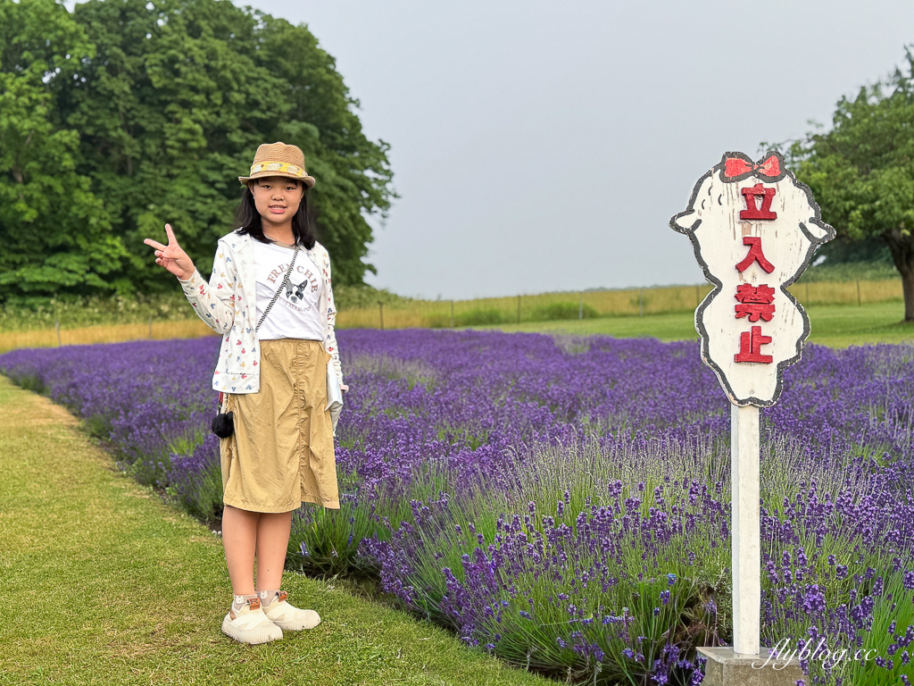 日本北海道｜羊之丘展望台．眺望札幌市景，夏天有薰衣草，冬天可以玩雪 @飛天璇的口袋
