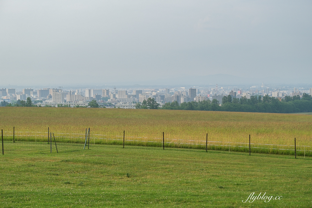 日本北海道｜羊之丘展望台．眺望札幌市景，夏天有薰衣草，冬天可以玩雪 @飛天璇的口袋
