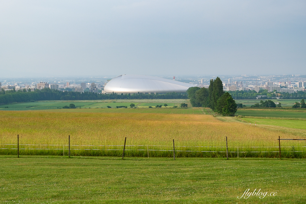 日本北海道｜羊之丘展望台．眺望札幌市景，夏天有薰衣草，冬天可以玩雪 @飛天璇的口袋