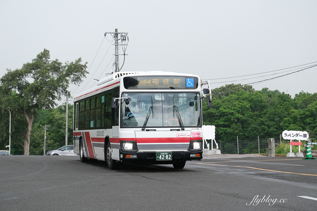 日本北海道｜羊之丘展望台．眺望札幌市景，夏天有薰衣草，冬天可以玩雪 @飛天璇的口袋