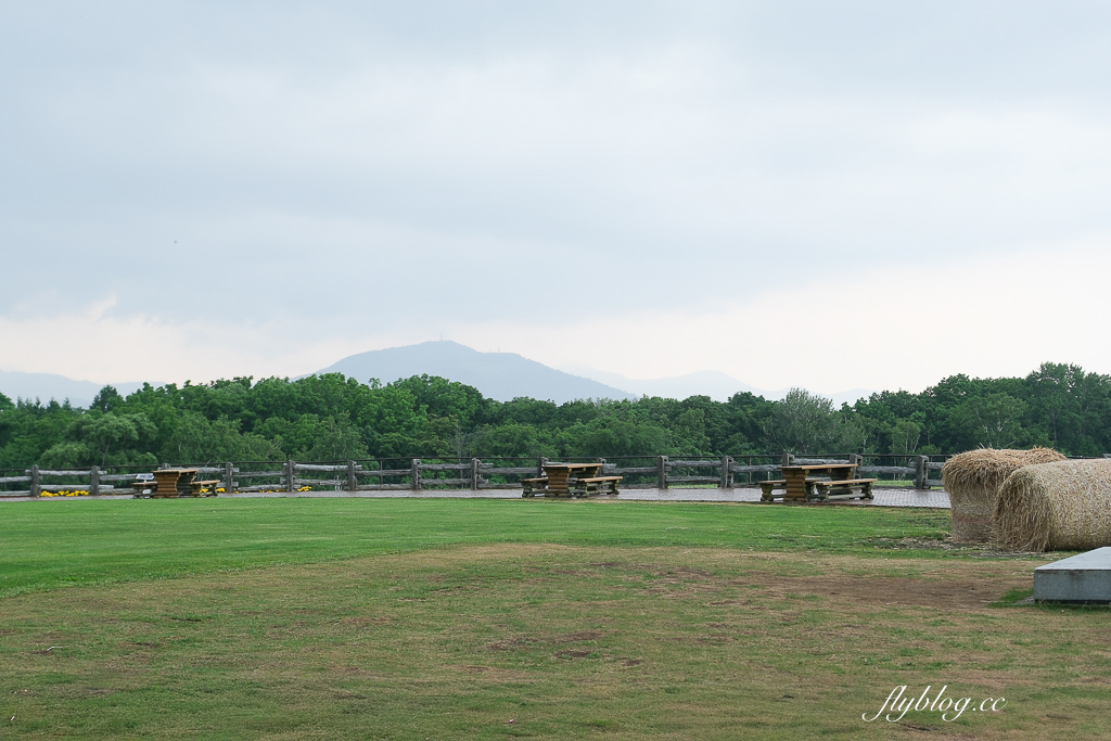 日本北海道｜羊之丘展望台．眺望札幌市景，夏天有薰衣草，冬天可以玩雪 @飛天璇的口袋
