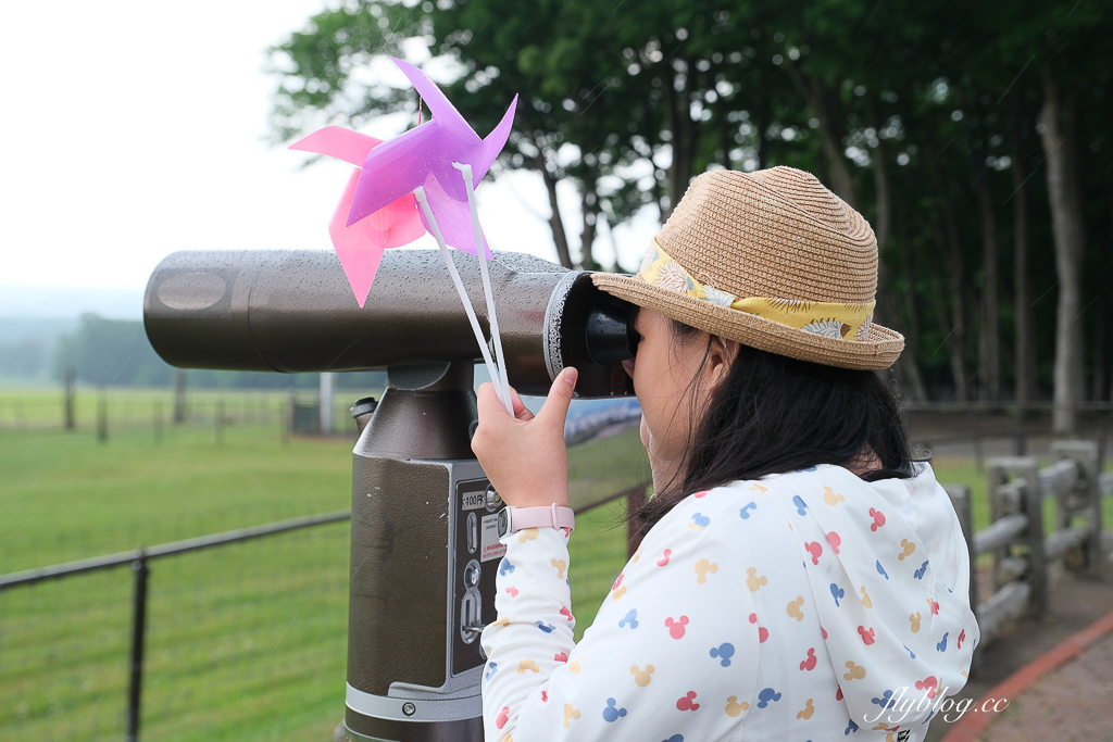 日本北海道｜羊之丘展望台．眺望札幌市景，夏天有薰衣草，冬天可以玩雪 @飛天璇的口袋