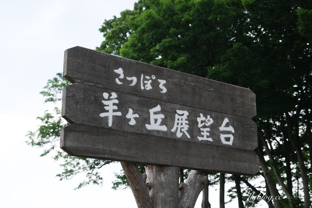 日本北海道｜羊之丘展望台．眺望札幌市景，夏天有薰衣草，冬天可以玩雪 @飛天璇的口袋