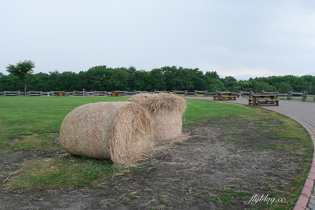 日本北海道｜羊之丘展望台．眺望札幌市景，夏天有薰衣草，冬天可以玩雪 @飛天璇的口袋