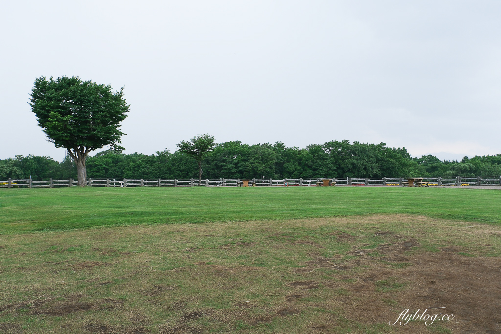 日本北海道｜羊之丘展望台．眺望札幌市景，夏天有薰衣草，冬天可以玩雪 @飛天璇的口袋