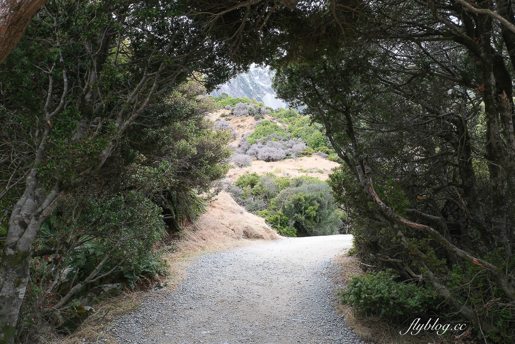 紐西蘭南島｜Hooker Valley Track．庫克山最受歡迎的步道，欣賞冰川、湖泊和雪山 @飛天璇的口袋