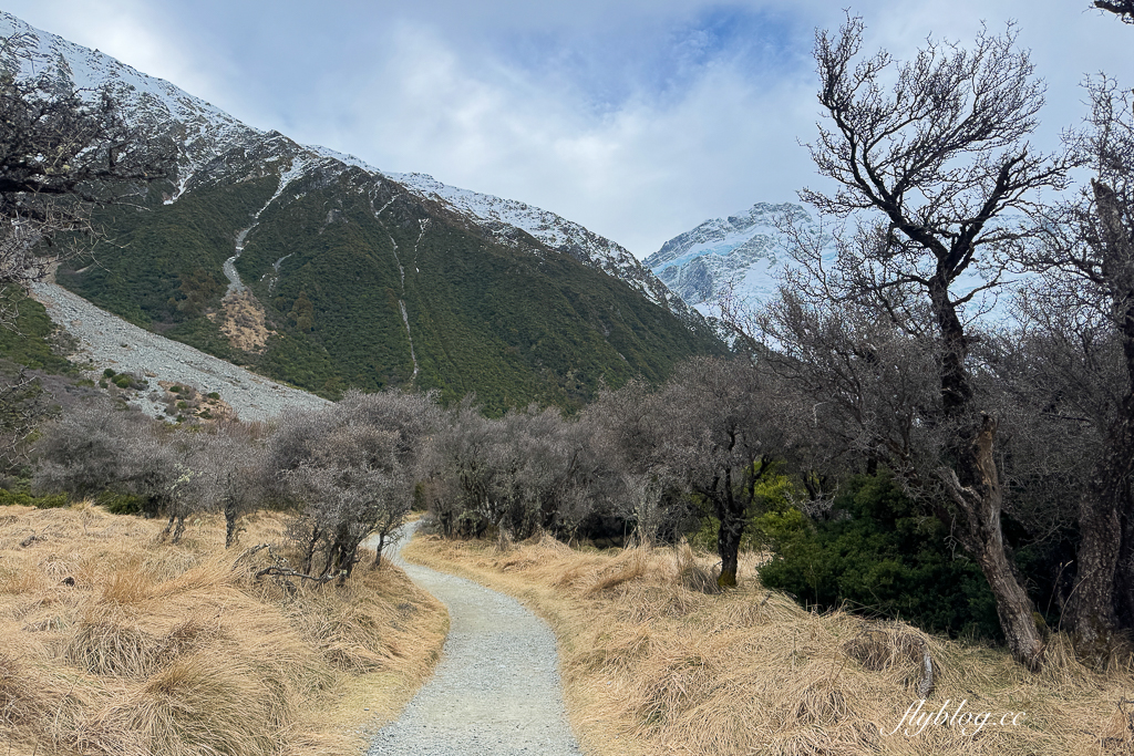 紐西蘭南島｜Kea Point Track．庫克山輕鬆平緩步道，來回只要一個小時 @飛天璇的口袋