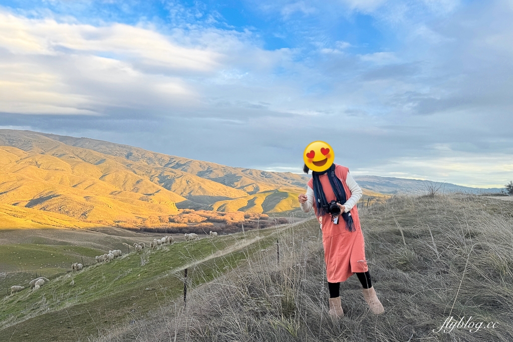 紐西蘭南島｜Lindis Pass 林迪斯隘口．紐西蘭8號公路觀景台，紐西蘭明信片的經典景點 @飛天璇的口袋