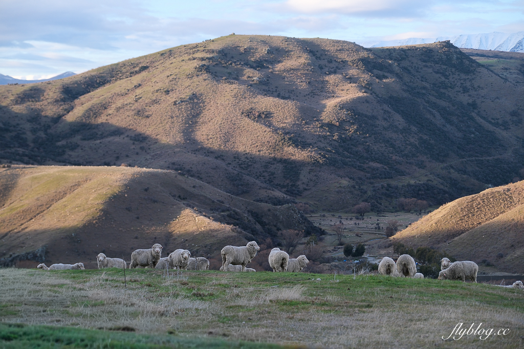 紐西蘭南島｜Lindis Pass 林迪斯隘口．紐西蘭8號公路觀景台，紐西蘭明信片的經典景點 @飛天璇的口袋