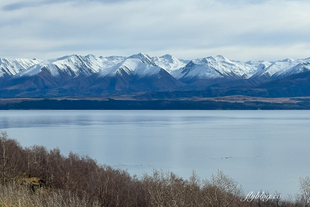 紐西蘭南島｜Mt Cook Alpine Salmon Shop．南島必吃高山雪水鮭魚，坐擁普卡基湖180度美景 @飛天璇的口袋