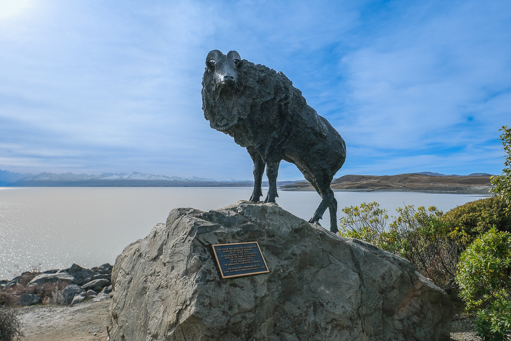 紐西蘭南島｜Mt Cook Alpine Salmon Shop．南島必吃高山雪水鮭魚，坐擁普卡基湖180度美景 @飛天璇的口袋
