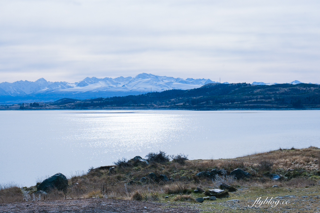 紐西蘭南島｜普卡基湖 Lake Pukaki．超浪漫藍色牛奶湖，沿途必拍三個觀景台 @飛天璇的口袋