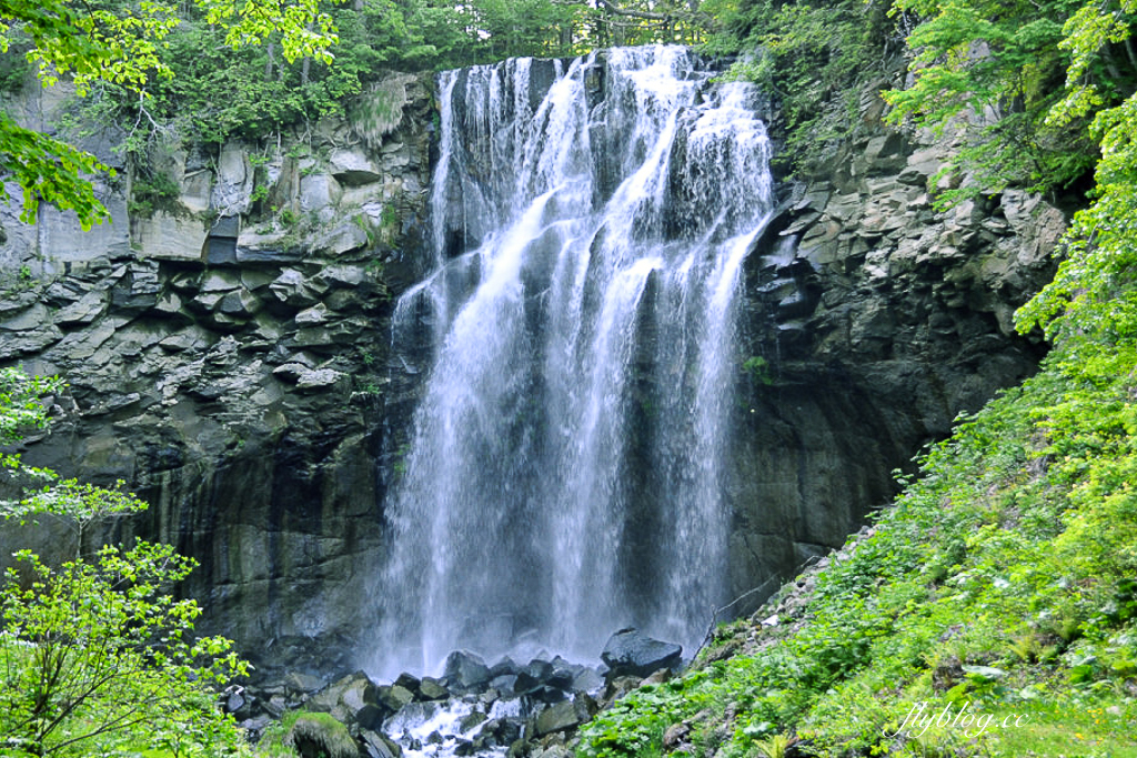 日本北海道｜國營瀧野鈴蘭丘陵公園．札幌親子旅遊景點，夏天賞花冬天玩雪 @飛天璇的口袋
