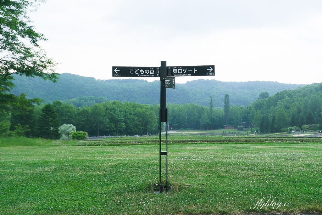 日本北海道｜國營瀧野鈴蘭丘陵公園．札幌親子旅遊景點，夏天賞花冬天玩雪 @飛天璇的口袋