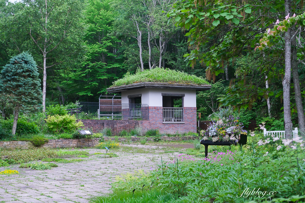 日本北海道｜國營瀧野鈴蘭丘陵公園．札幌親子旅遊景點，夏天賞花冬天玩雪 @飛天璇的口袋