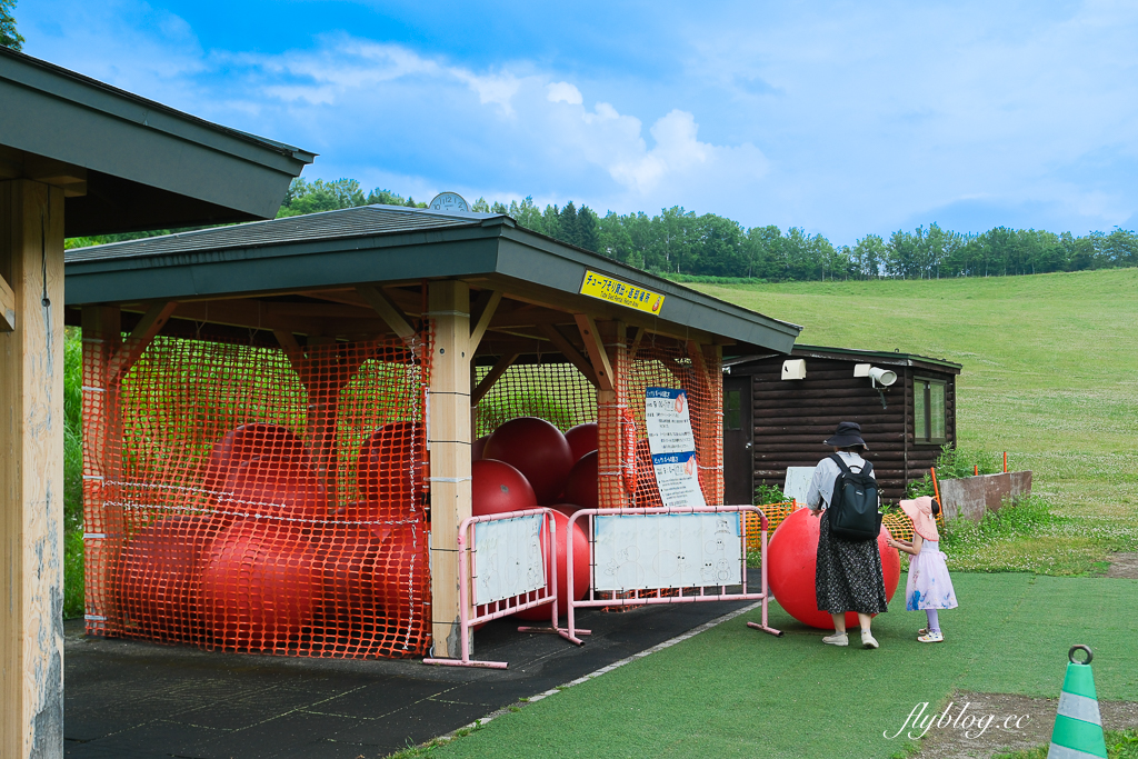日本北海道｜國營瀧野鈴蘭丘陵公園．札幌親子旅遊景點，夏天賞花冬天玩雪 @飛天璇的口袋