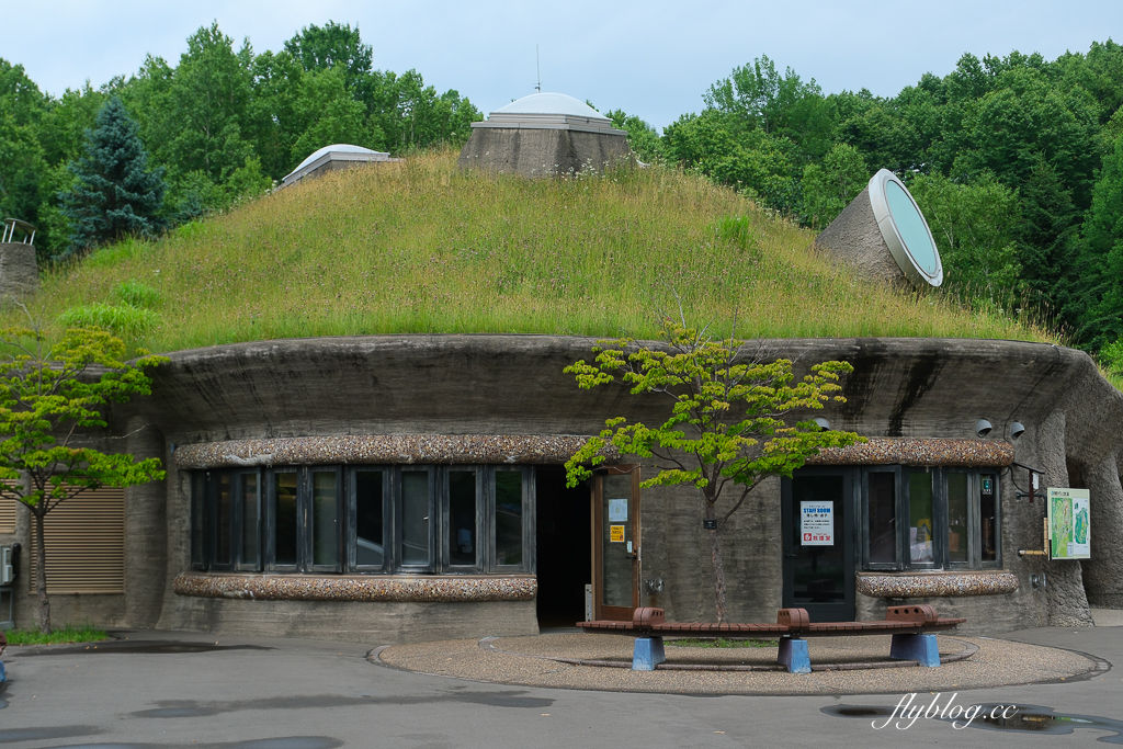 日本北海道｜國營瀧野鈴蘭丘陵公園．札幌親子旅遊景點，夏天賞花冬天玩雪 @飛天璇的口袋