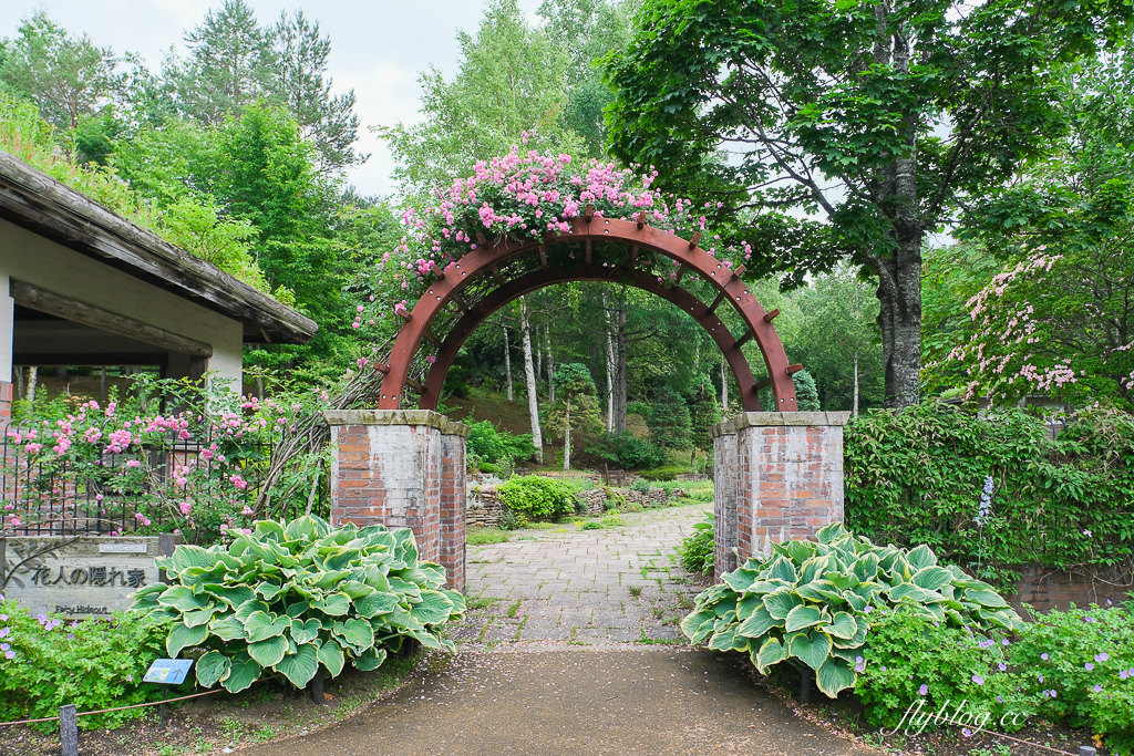 日本北海道｜國營瀧野鈴蘭丘陵公園．札幌親子旅遊景點，夏天賞花冬天玩雪 @飛天璇的口袋