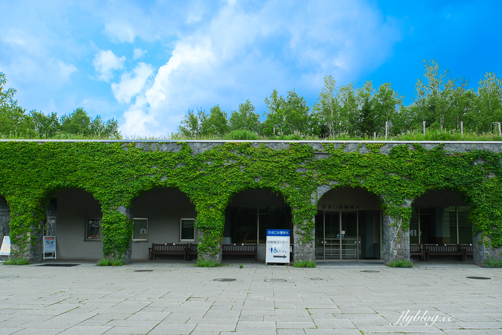 日本北海道｜國營瀧野鈴蘭丘陵公園．札幌親子旅遊景點，夏天賞花冬天玩雪 @飛天璇的口袋