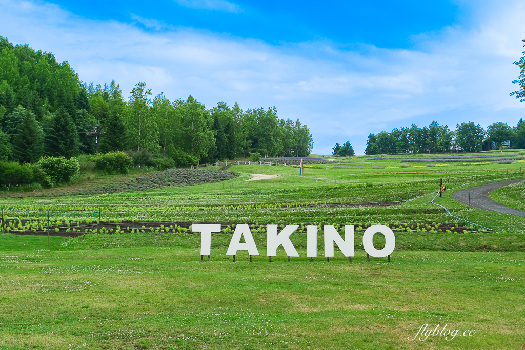 日本北海道｜國營瀧野鈴蘭丘陵公園．札幌親子旅遊景點，夏天賞花冬天玩雪 @飛天璇的口袋