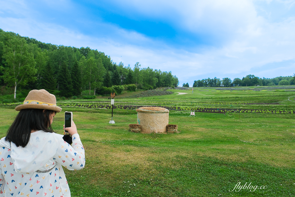 日本北海道｜國營瀧野鈴蘭丘陵公園．札幌親子旅遊景點，夏天賞花冬天玩雪 @飛天璇的口袋